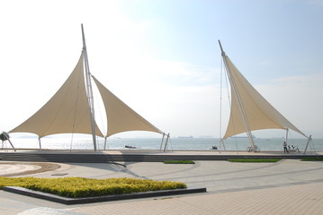 关于菩提树下唯美句子集锦60句