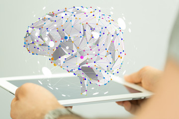 广州的长隆飞鸟乐园值得带孩子去吗？