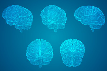 广州的长隆飞鸟乐园值得带孩子去吗？