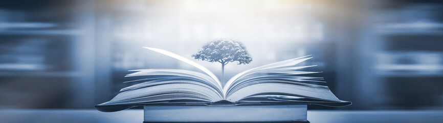 《哆啦A梦》的口袋到底有多大？