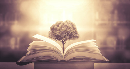 推荐一本关于数学的书适合小学一年级的小朋友