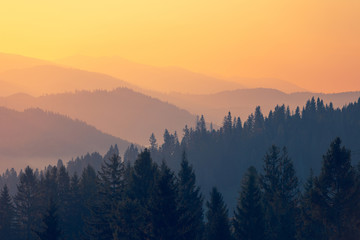 初一必读书目有哪些