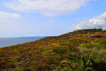 北京故宫的导游词