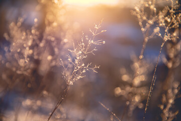推荐一本关于数学的书适合小学一年级的小朋友