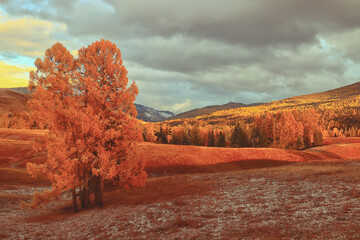 生活中有哪些科学解释不了的自然现象？