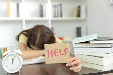 广州的长隆飞鸟乐园值得带孩子去吗？