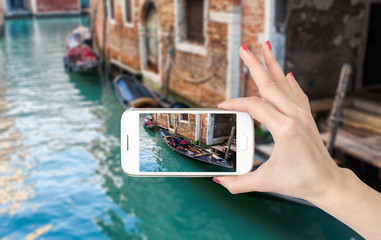 关于菩提树下唯美句子集锦60句