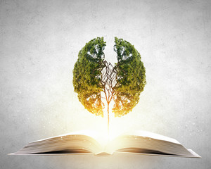 二十四节气科普小知识