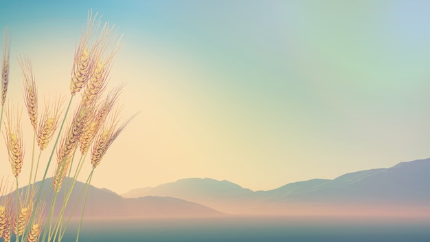 初一必读书目有哪些