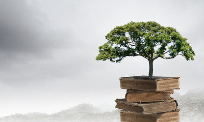 初一必读书目有哪些