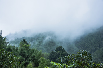 二十四节气科普小知识